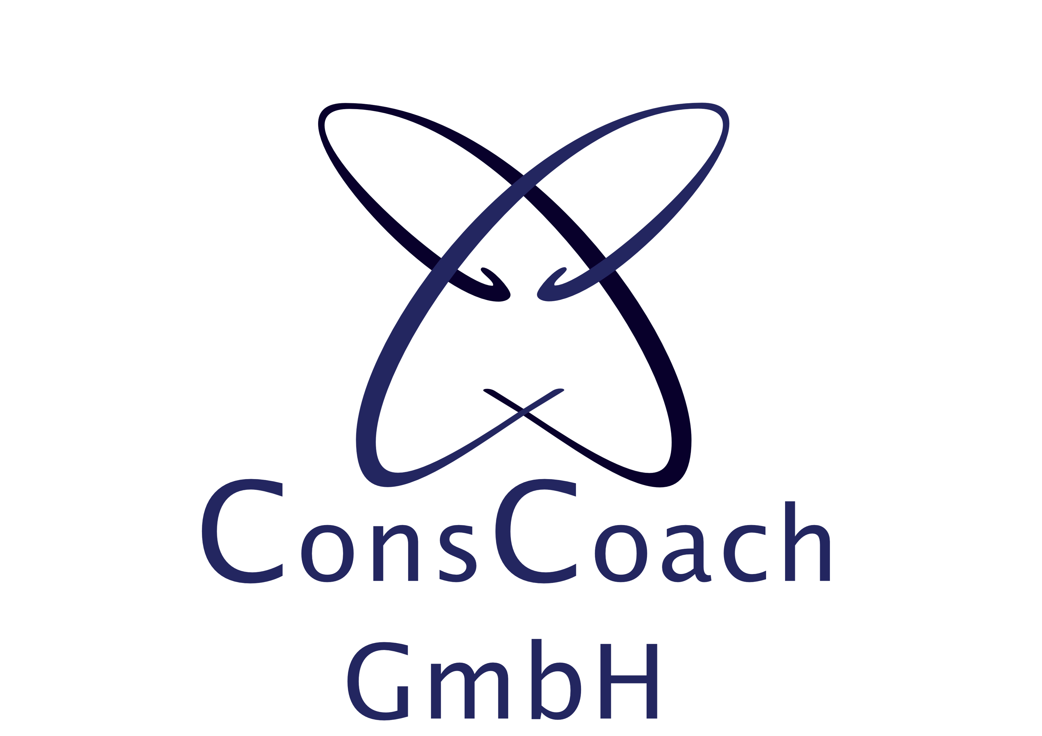 CC ConsCoachBlauSchwarz