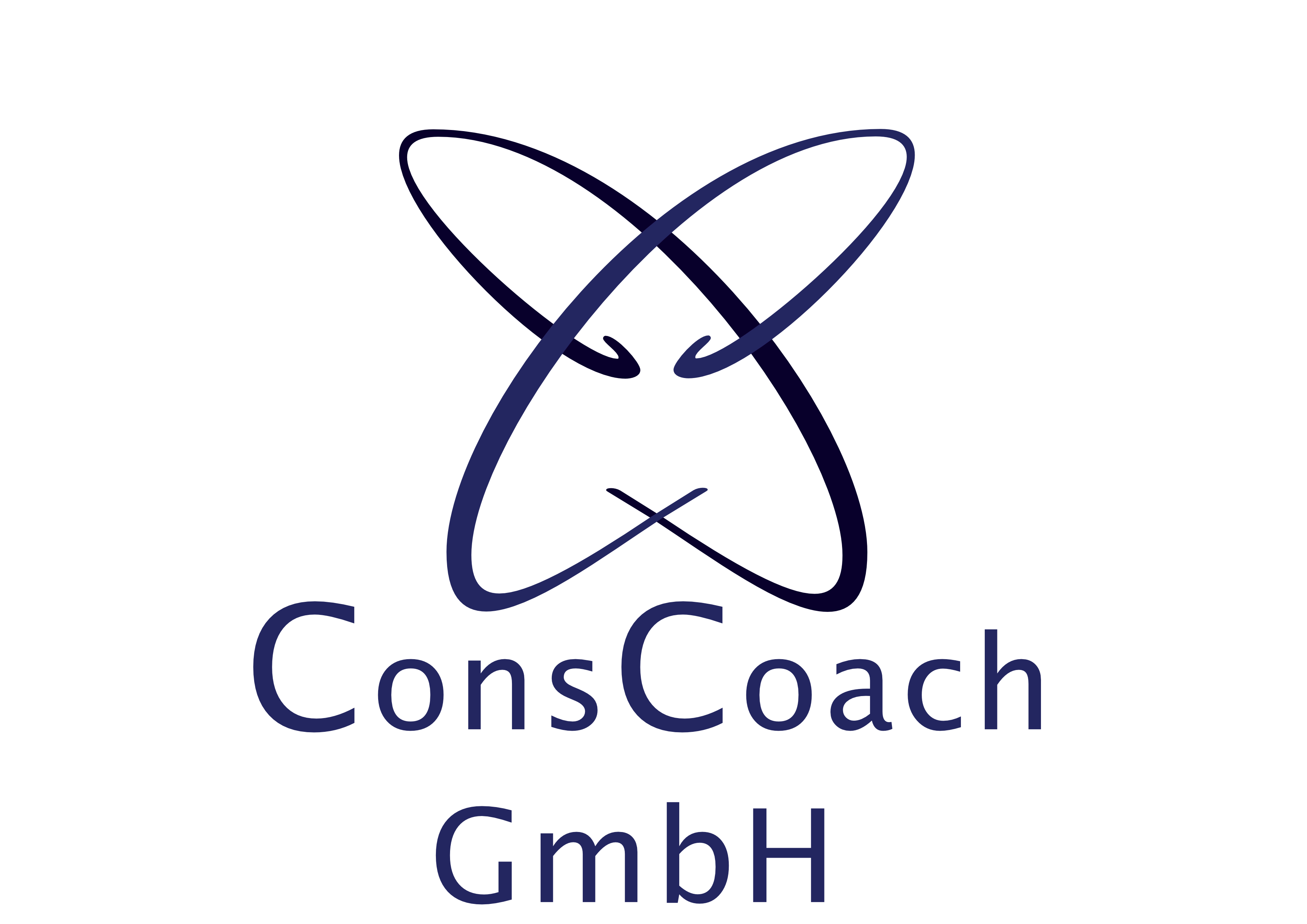 CC ConsCoachBlauSchwarz